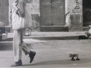 Francis Alÿs. The Collector 1990-92.